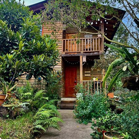 Beehouse Arvi Cabana Guarne Exterior foto