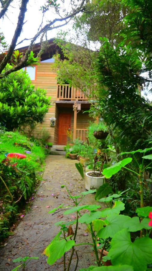 Beehouse Arvi Cabana Guarne Exterior foto