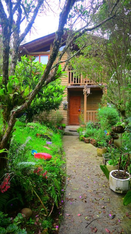 Beehouse Arvi Cabana Guarne Exterior foto